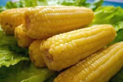 怎样储存玉米更好吃？将玉米直接冷冻还是熟制后冷冻？